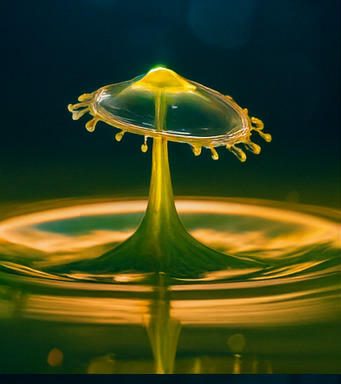 새로운 모험 시작